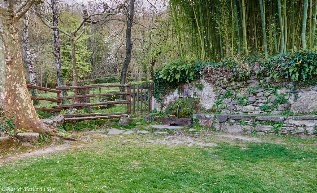 Apartamentos Fonda Finet Sant Felíu de Pallarols エクステリア 写真