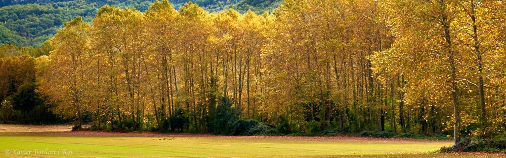 Apartamentos Fonda Finet Sant Felíu de Pallarols エクステリア 写真